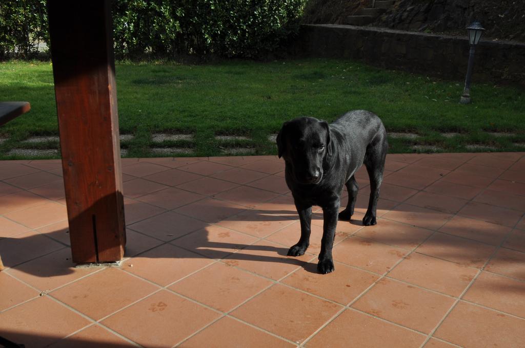 Agriturismo Il Cerrosughero Villa Scarlino Luaran gambar