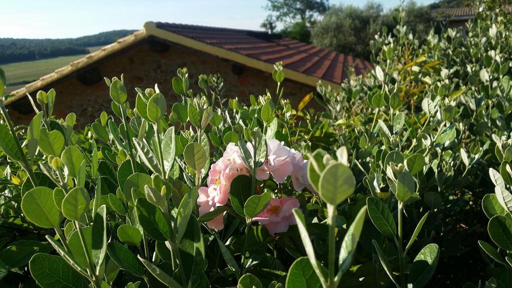 Agriturismo Il Cerrosughero Villa Scarlino Luaran gambar